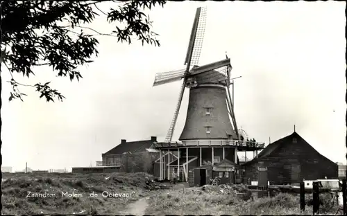 Ak Zaandam Zaanstad Nordholland, Molen de Ooievaar