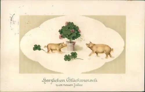 Präge Ak Glückwunsch Neujahr, Schweine, Glücksklee