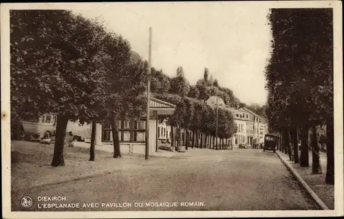 Ak Diekirch Luxemburg, Esplanade mit römischen Mosaiken