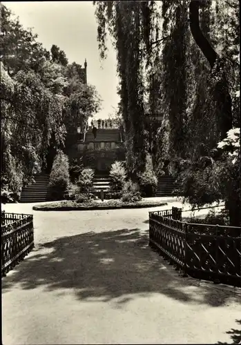 Ak Riesa an der Elbe Sachsen, Stadtpark