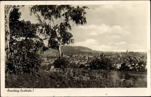 Ak Annaberg Buchholz im Erzgebirge, Ortsansicht