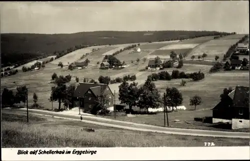 Ak Schellerhau Altenberg im Erzgebirge, Panorama