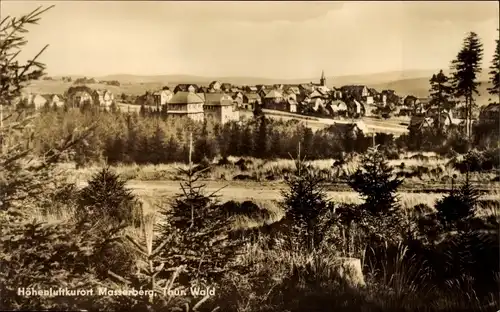 Ak Masserberg in Thüringen, Panorama