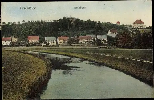 Ak Hirschfelde Zittau in Sachsen, Weinberg