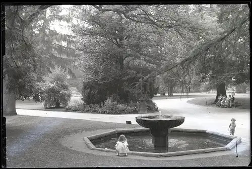 5 Glas Negative Detmold in Nordrhein Westfalen, Park, Fluss, Hauptstraße