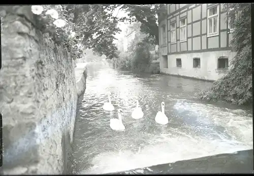 5 Glas Negative Detmold in Nordrhein Westfalen, Park, Fluss, Hauptstraße