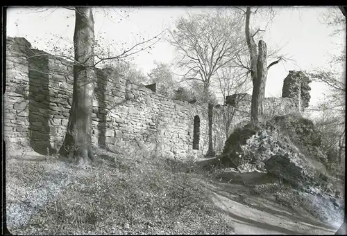 5 Glas Negative Essen Rellinghausen, Schloss, Burgruine, Hof