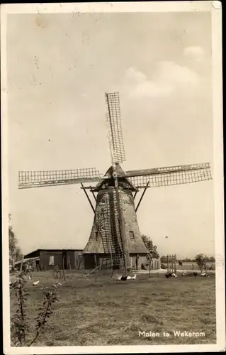 Ak Wekerom Gelderland, Mühle