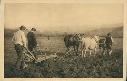 Ak Bretagne, Bauern mit Pferdepflug