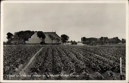 Ak St Jacobi Parochie Friesland Niederlande, Visitez en Frise les champs de la Maison Michel Gossye