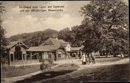 Ak Eutin in Ostholstein, Ukleisee, Uglei See, Gasthaus, Rieseneiche