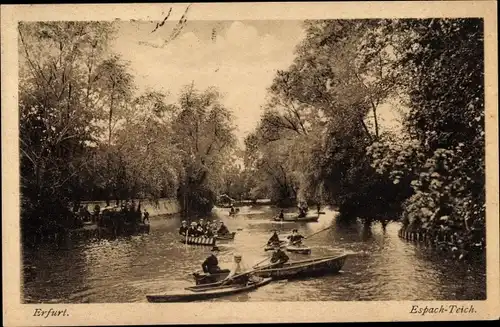 Ak Erfurt in Thüringen, Espach-Teich, Ruderboote