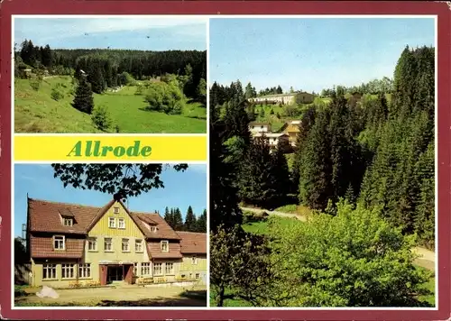 Ak Allrode Thale im Harz, Bungalowsiedlung, Mühlberg