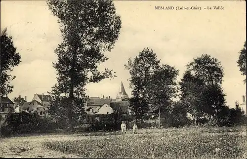 Ak Mesland Loir-et-Cher, La Vallée