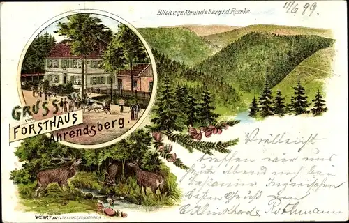 Litho Forsthaus Ahrendsberg Schulenberg Clausthal Zellerfeld im Oberharz, Totalansicht, Hirsch