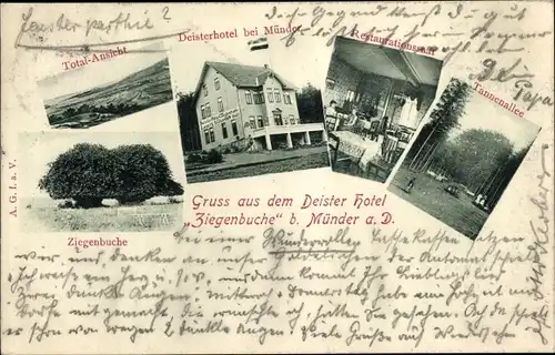 Ak Münder a. Deister, Deister Hotel Ziegenbuche, Tannenallee, Restaurationssaal