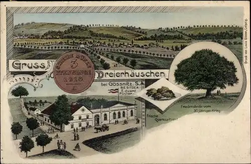 Ak Gößnitz in Thüringen, Gesamtansicht, Dreierhäuschen, Friedenslinde
