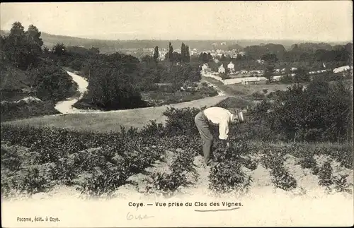 Ak Coye Oise, Clos des Vignes