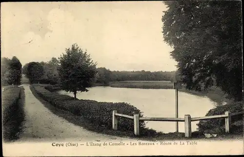 Ak Coye Oise, Etang de Comelle, Les Roseaux, Route de La Table