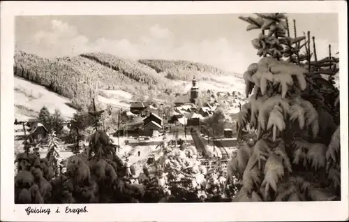 Ak Geising Altenberg im Erzgebirge, Winter, Panorama
