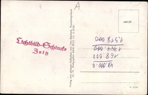 Ak Naumburg an der Saale, Totalansicht, Birkenwäldchen