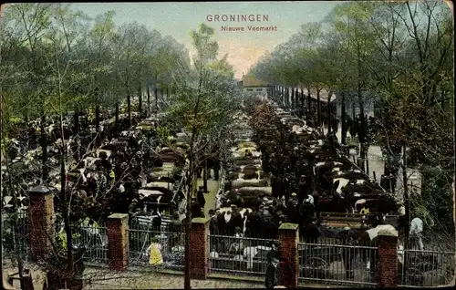 Ak Groningen Niederlande, Nieuwe Veemarkt