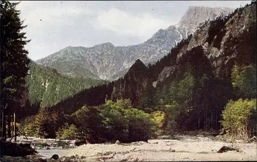 Ak Johnsbach Steiermark, Johnsbachtal, Gr. Buchstein