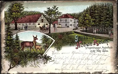 Litho Bocka in Thüringen, Gasthaus Hohe Reuth, Rehe