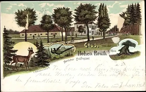 Litho Bocka Thüringen, Hohe Reuth, Reh, Auerhuhn, Fasane