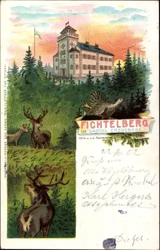 Litho Oberwiesenthal im Erzgebirge, Fichtelberg, Unterkunftshaus, Hirsche