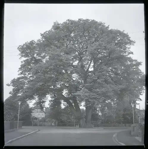 5 Zelluloid Negative Eystrup in Niedersachsen, Kirche, Sparhalle, Landschaft