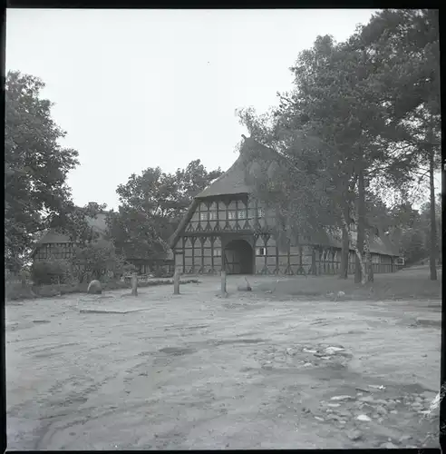 8 Zelluloid Negative Dauelsen Verden an der Aller, Wald, Friedhof, Wirtschaft