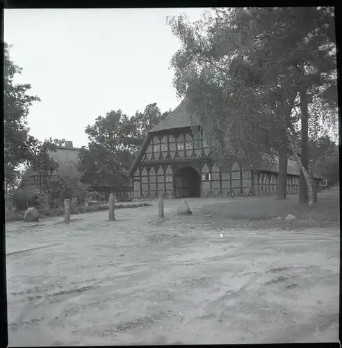 8 Zelluloid Negative Dauelsen Verden an der Aller, Wald, Friedhof, Wirtschaft