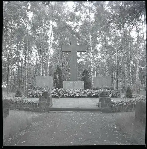 8 Zelluloid Negative Dauelsen Verden an der Aller, Wald, Friedhof, Wirtschaft