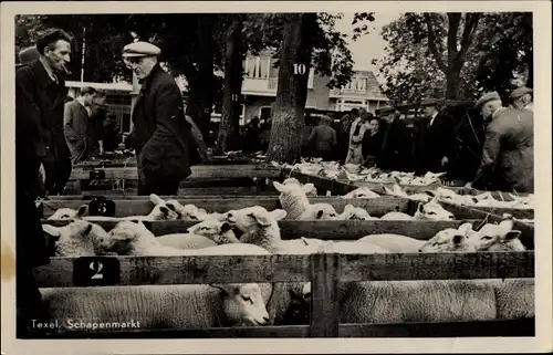 Ak Texel Nordholland Niederlande, Schaf-Markt