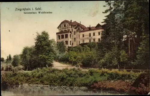 Ak Głuchołazy Zdrój Bad Ziegenhals Schlesien, Sanatorium Waldfrieden