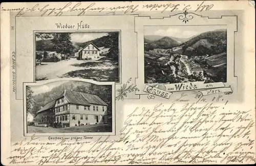 Ak Wieda Walkenried Harz, Wiedaer Hütte, Gasthaus zur grünen Tanne, Gesamtansicht