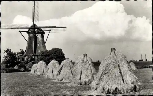 Ak Aalsmeer Nordholland, Wassermühle