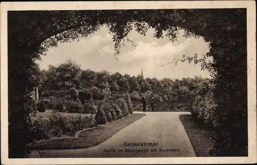 Ak Gelsenkirchen im Ruhrgebiet, Stadtgarten, Rosenbeet