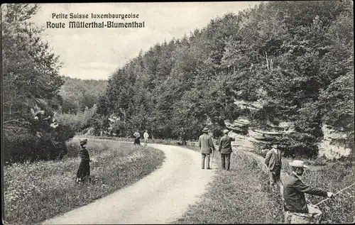 Ak Mullerthal Waldbillig Luxembourg, Wegepartie