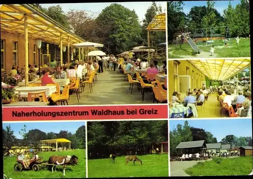 Ak Greiz im Vogtland, Naherholungszentrum Waldhaus, Gastwirtschaft, Spielplatz, Ponykutsche