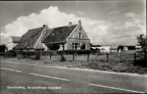 Ak Terschelling Friesland Niederlande, Bauernhof Terschelling