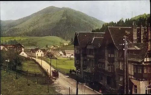 Ak Steinhaus am Semmering Steiermark, Teilansicht