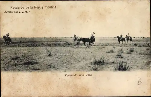 Ak Argentinien, Pechando una Vaca