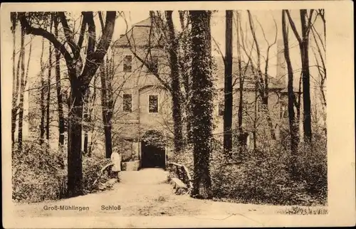 Ak Großmühlingen Bördeland in Sachsen Anhalt, Schloss