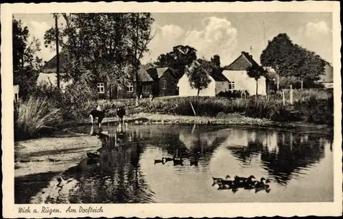 Ak Wiek auf Rügen, Dorfteich, Enten, Kühe