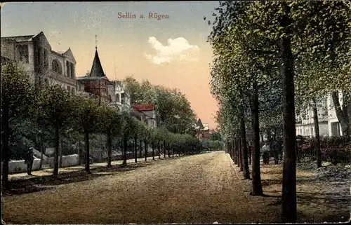 Ak Ostseebad Sellin auf Rügen, Allee