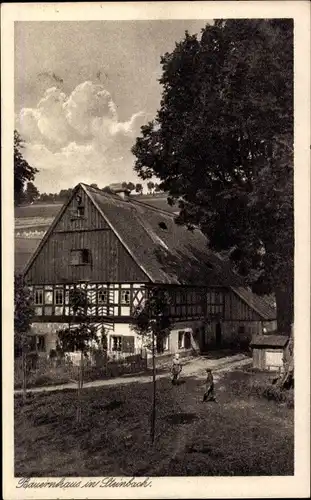 Ak Steinbach Johanngeorgenstadt Erzgebirge, Bauernhaus