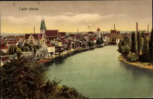 Ak Calbe an der Saale, Gesamtansicht