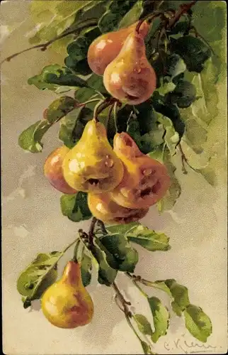 Künstler Ak Klein, Catharina, Birnen am Baum